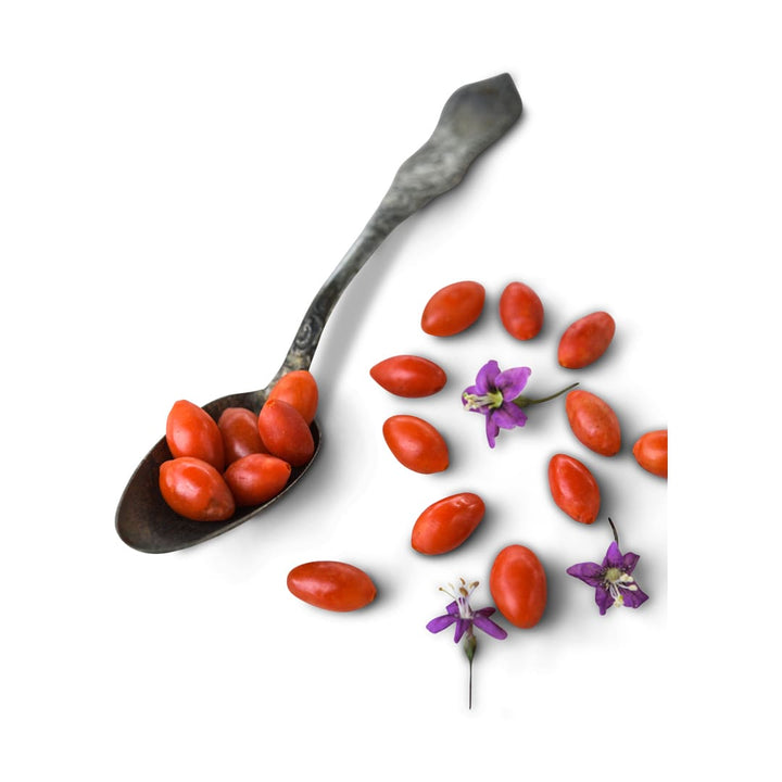 Goji Berry Seeds, Scarlet (wolfberry)