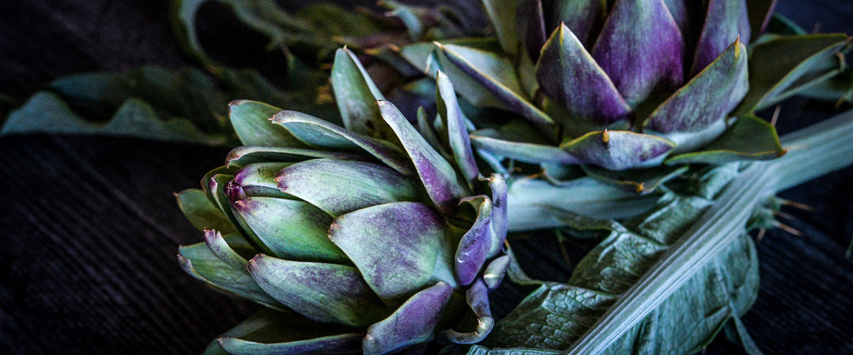 Artichoke Seeds collection hero