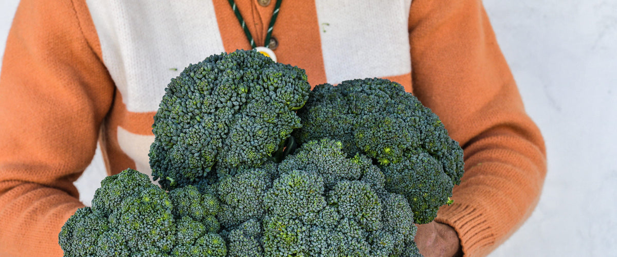 Broccoli Seeds collection hero