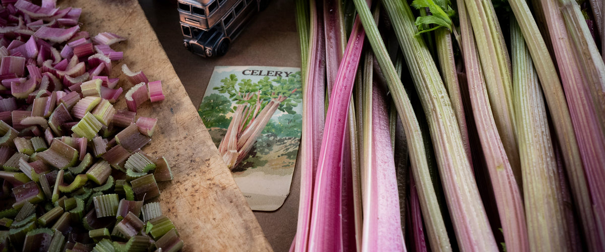 Celery Seeds collection hero