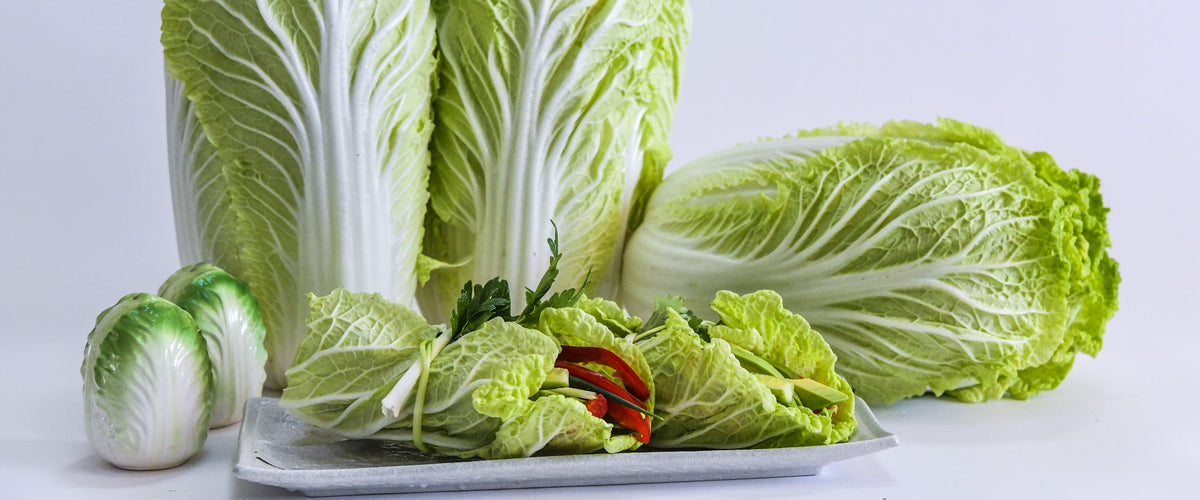 Chinese Cabbage Seeds collection hero