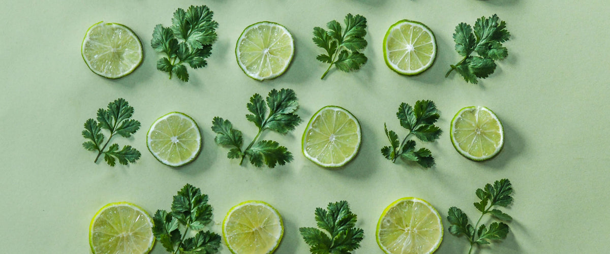 Cilantro / Coriander Seeds collection hero
