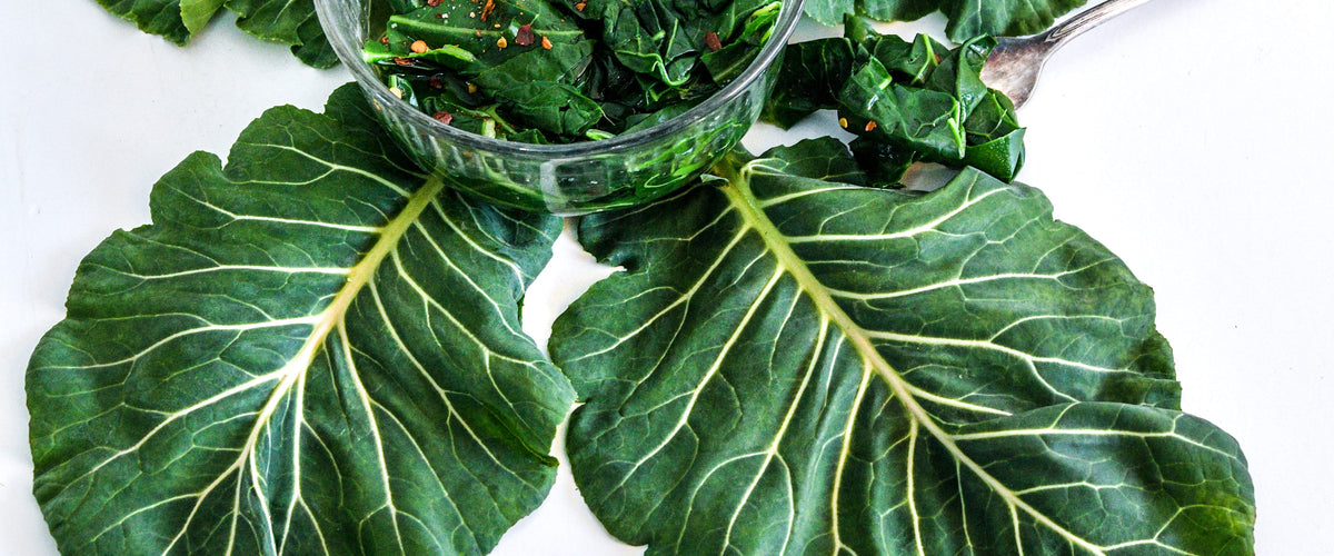 Collard Seeds collection hero