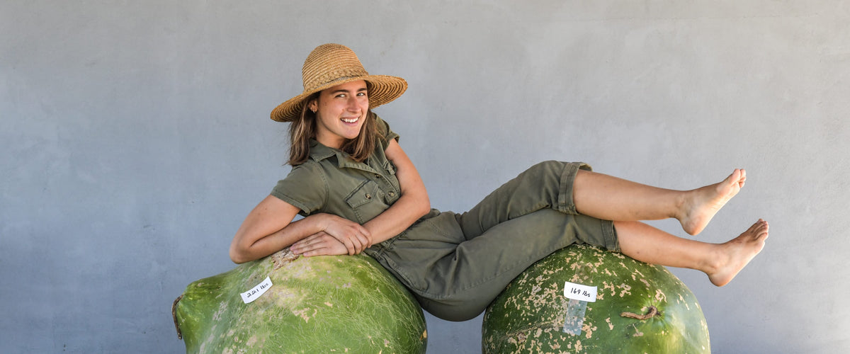 Gourd Seeds collection hero
