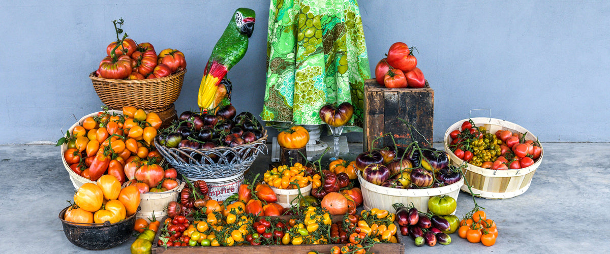 Tomato Seeds collection hero