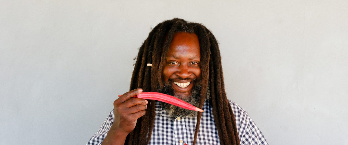 Okra Seeds collection hero
