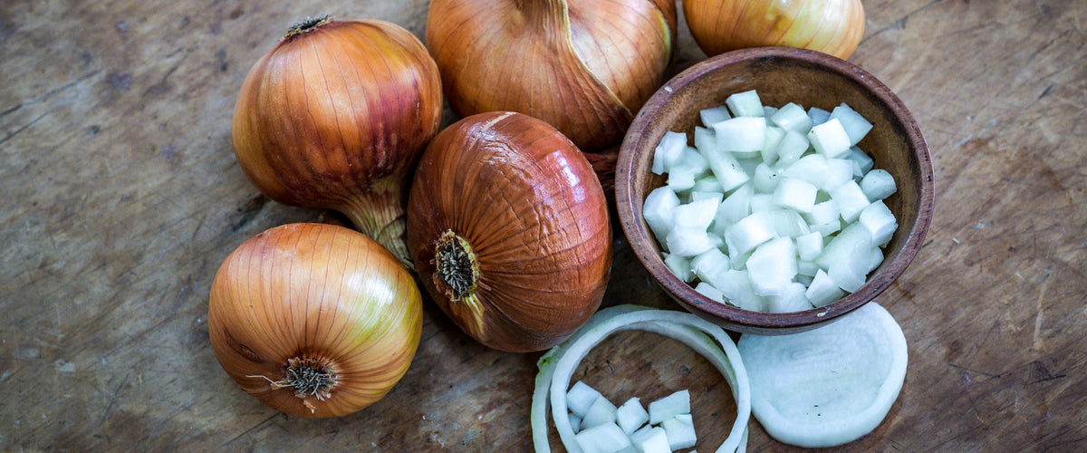 Onion Seeds collection hero