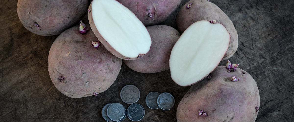 Potatoes collection hero