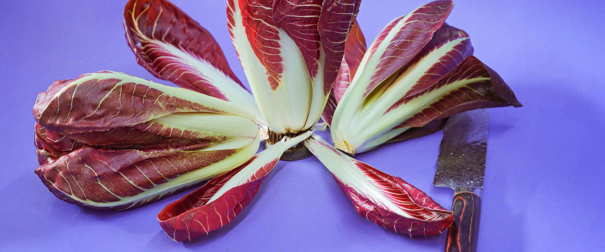 Radicchio Seeds collection hero