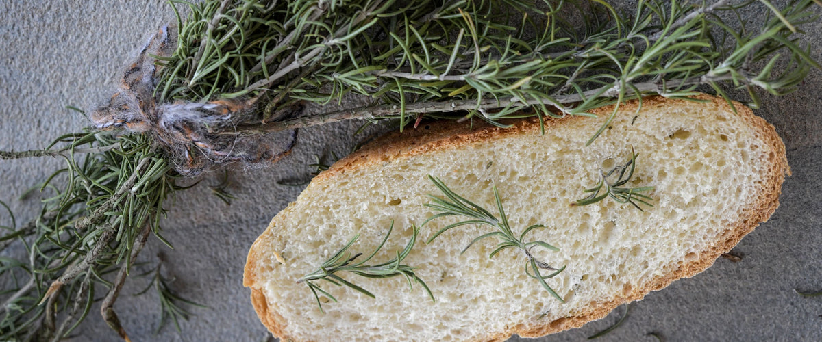 Rosemary Seeds collection hero