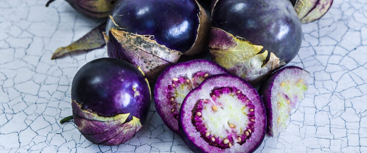 Tomatillo Seeds collection hero