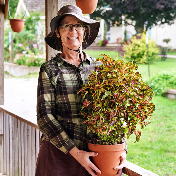 A smiling woman holding a potted Colocha Sunset Coleus plant on the front porch of the Seed Store.