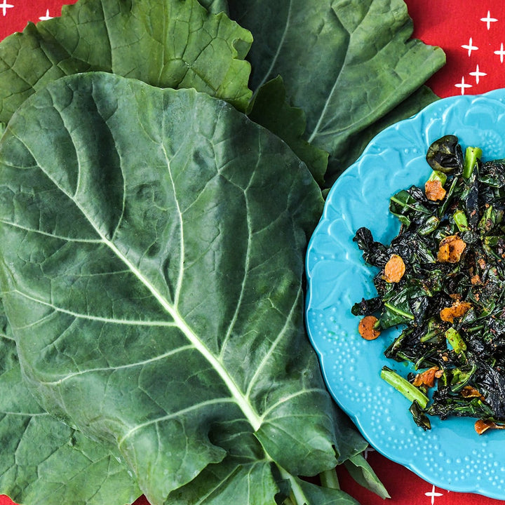 Georgia Southern or Creole Collards sauteed on a blue plate with large collard leaves.