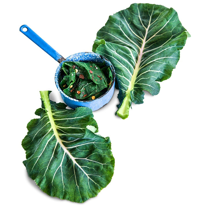 Georgia Southern Collard leaves with a measuring cup full of salad on a white background