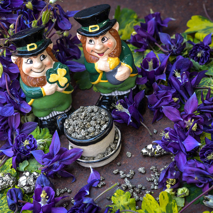 Leprechauns with pot of gold surrounded by columbine flowers
