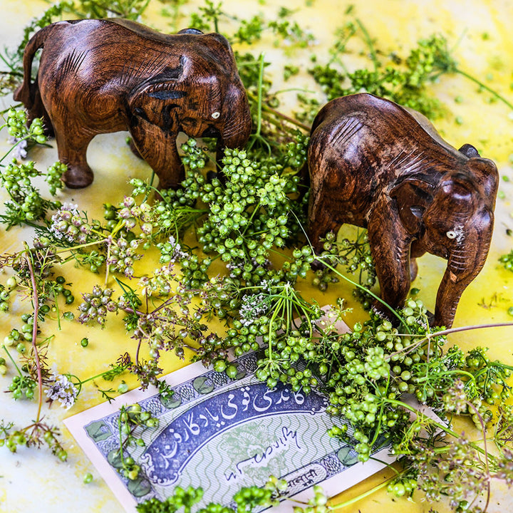 Indian Coriander seeds with a couple of wooden elephants and money from India on a yellow background.