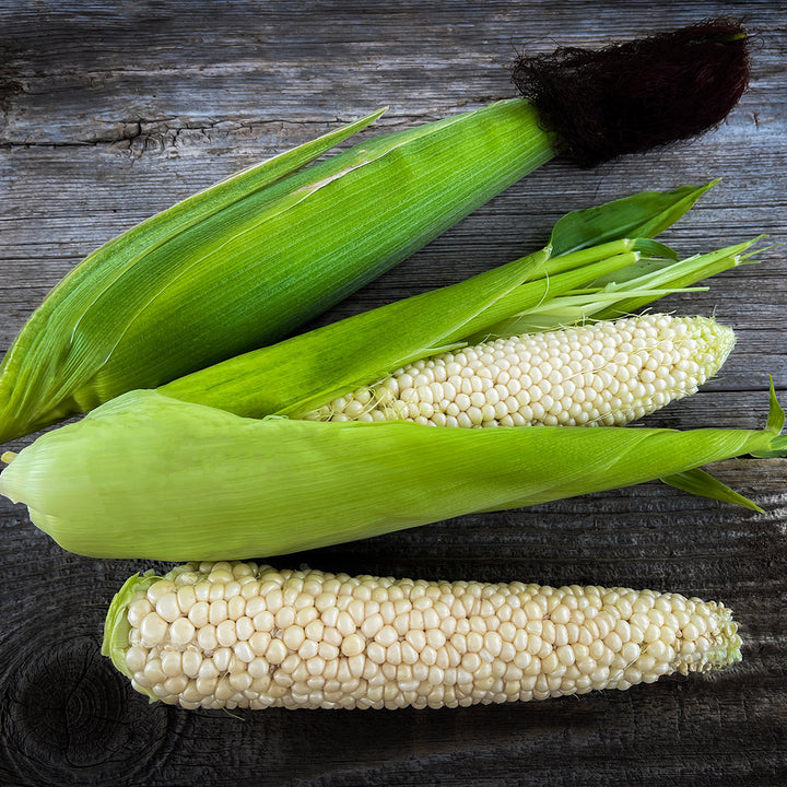 A trio of Country Gentleman Sweet Corn cobs arranged on a wood background.