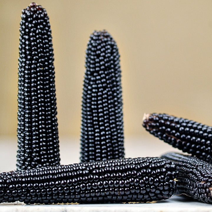 Dakota Black Popcorn arranged on a white marble table.