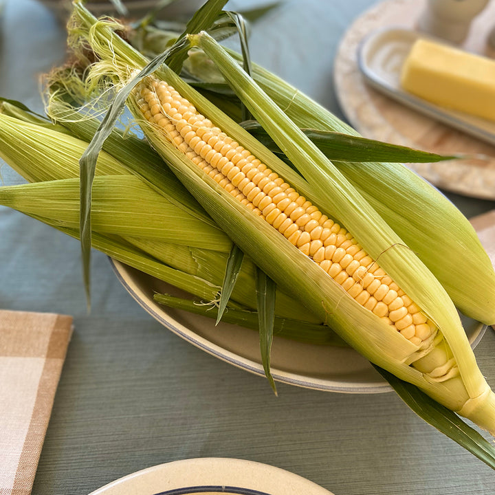 Corn Seeds, Golden Bantam 12-Row
