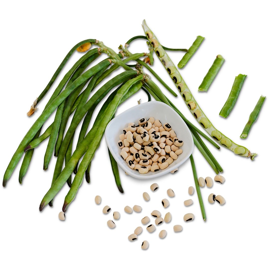 California Blackeye Pea Cowpea dried and fresh on a white background.