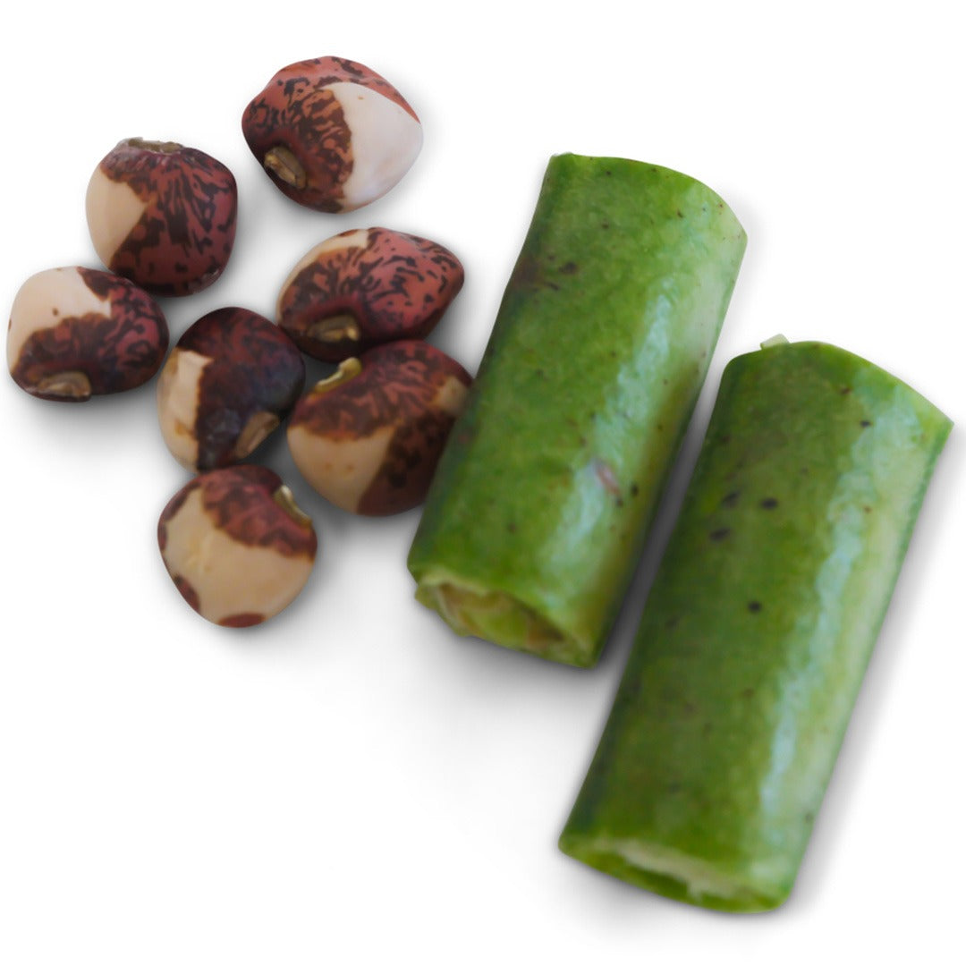 Cowpea Seeds, Ozark Razorback