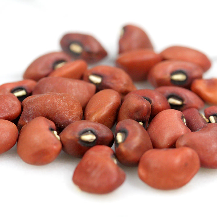 Red Ripper Cowpea beans close-up