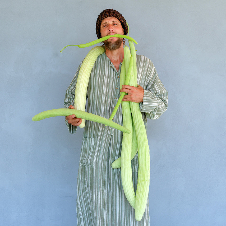 A man in striped tunic holding several Indian Snake Cucumbers against a grey stucco wall.