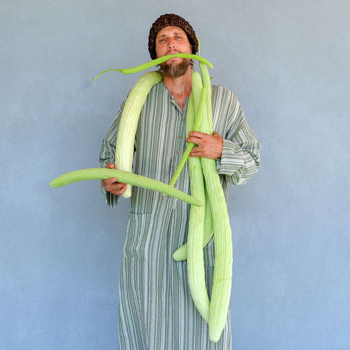 A man in striped tunic holding several Indian Snake Cucumbers against a grey stucco wall.