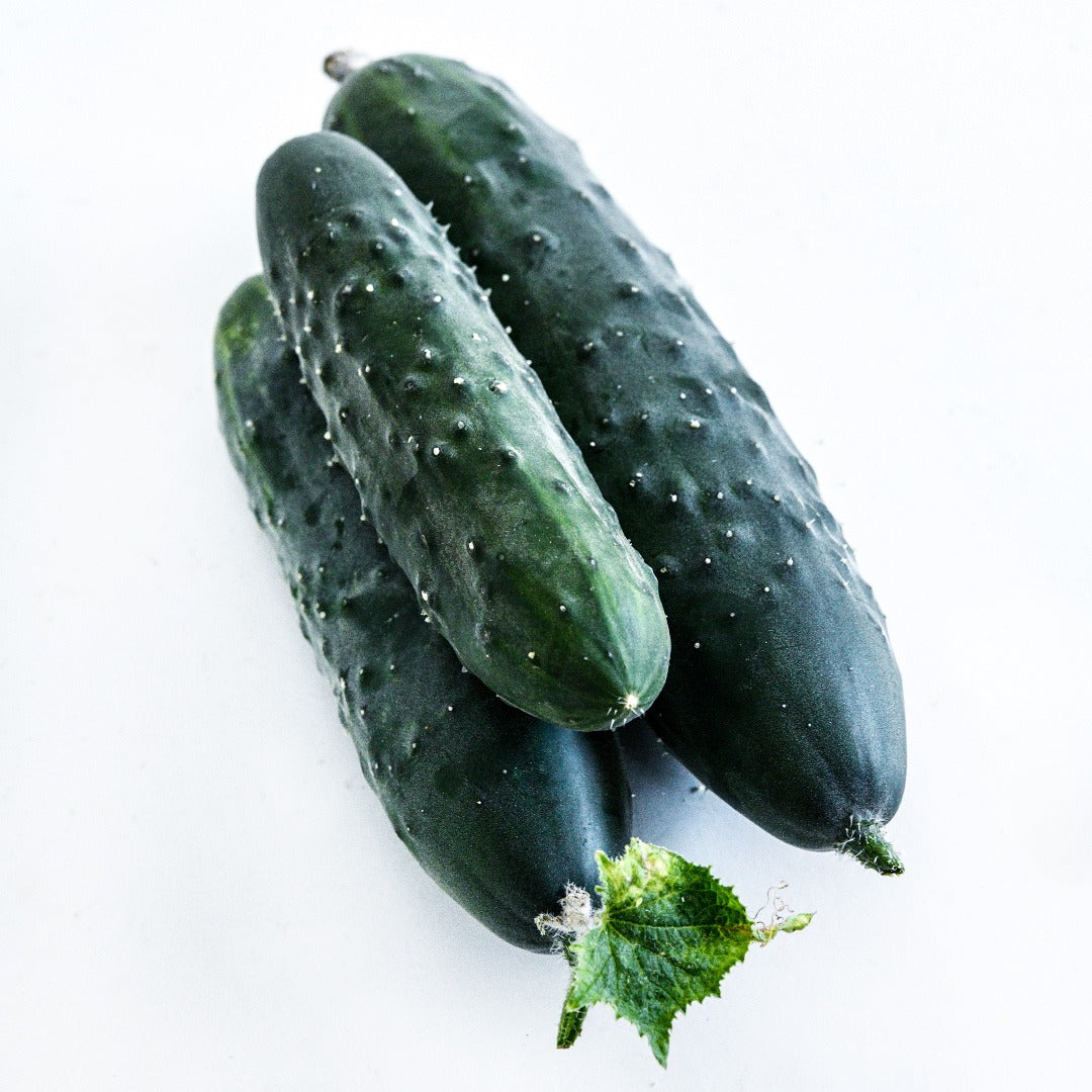 A trio of whole Ancash Market Cucumbers on a white background.