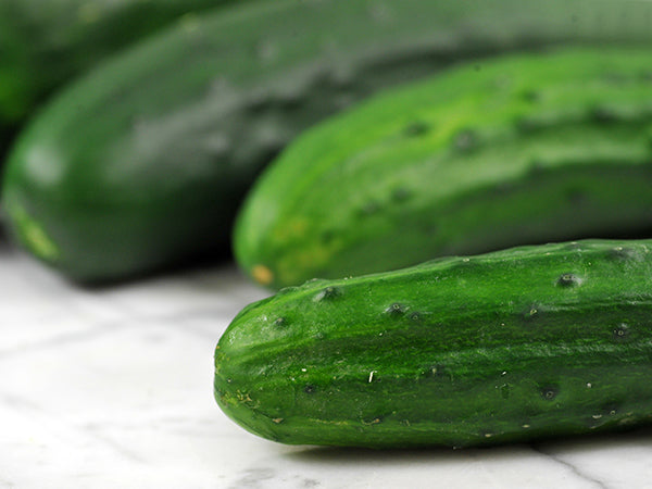 Cucumber Seeds, Early Russian