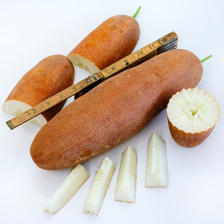 Whole and cut Gagon Cucumbers with a ruler showing size on a white background.