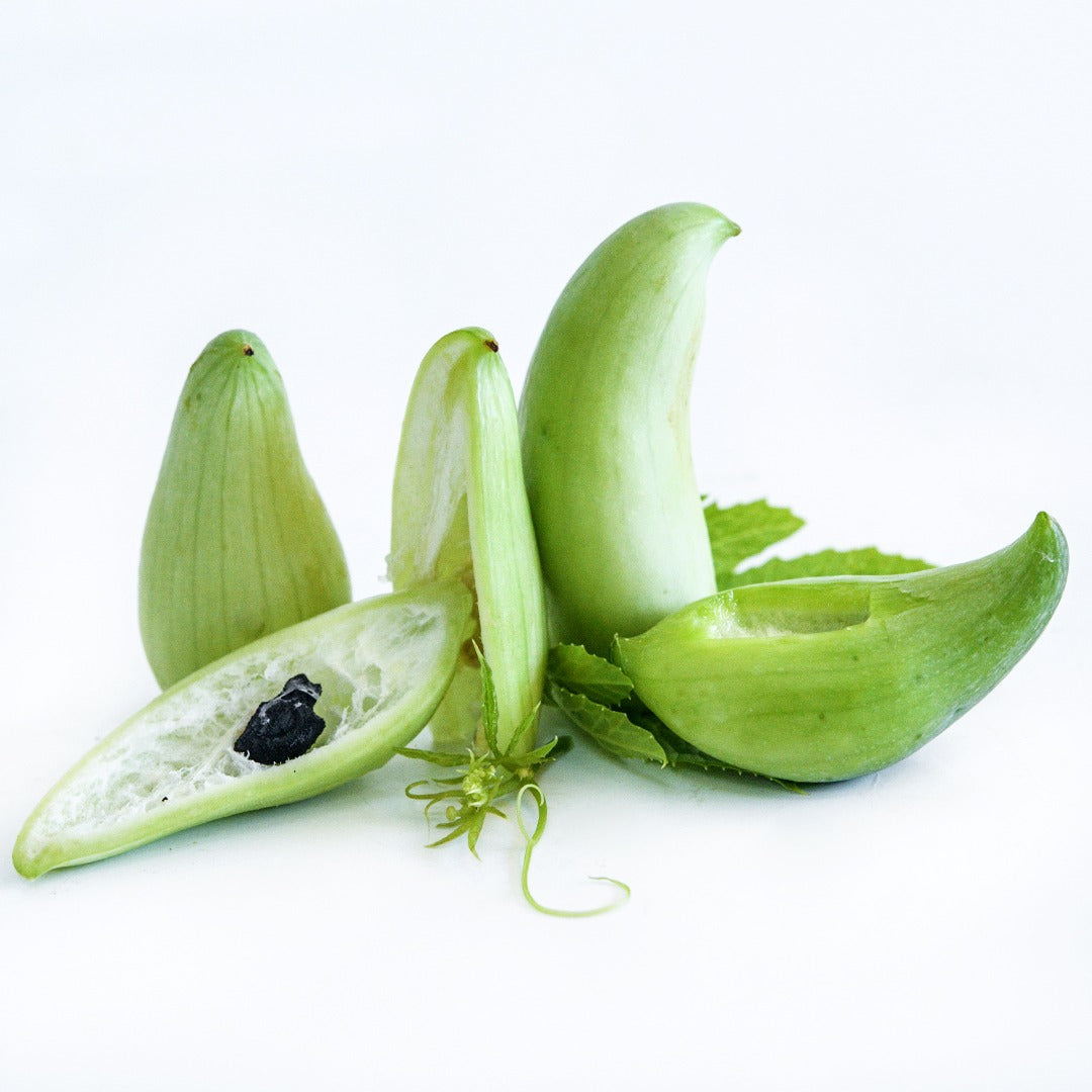 Several Lady Slipper Achocha fruits with foliage arranged on a white background.