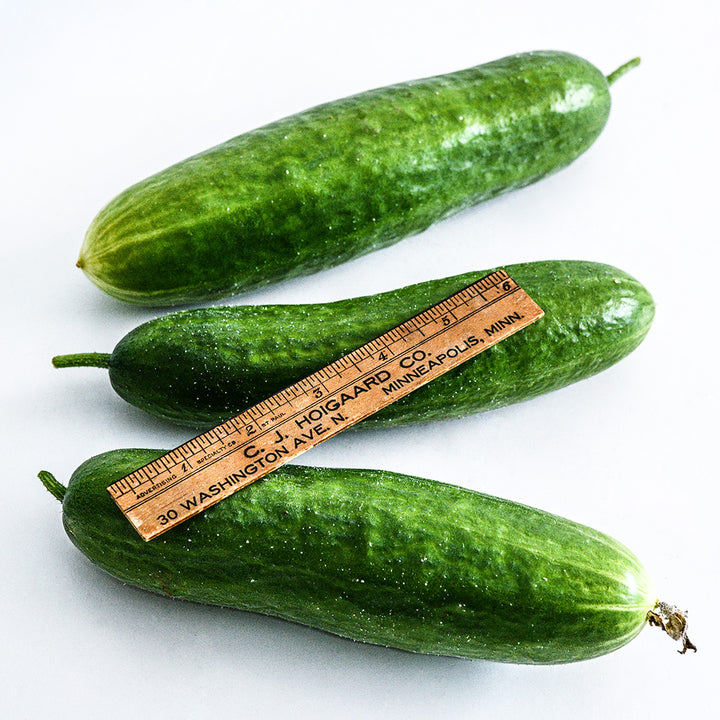 Three shimshon Cucumbers with a ruler to show size on a white background.