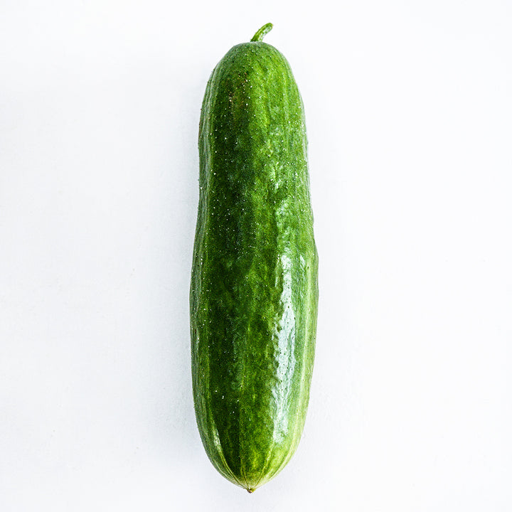 A single Shimshon Cucumber on a white background.