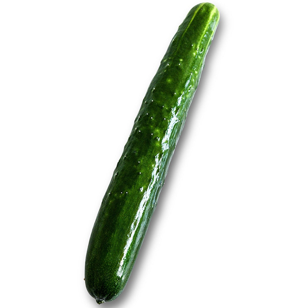 Whole Aonaga Jibai Cucumber on a white background.