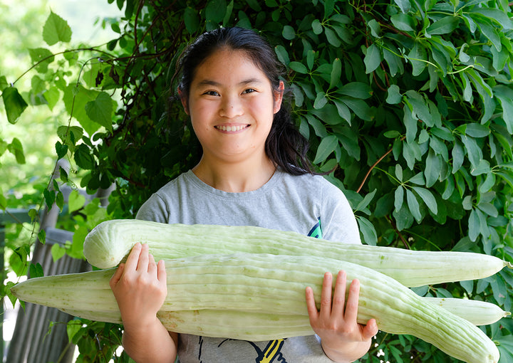 Ella holding Armenian Yard-Long Cucumber