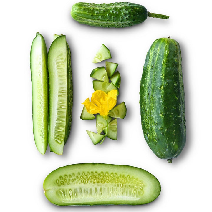 Whole and sliced Boston Pickling Cucumbers on a white background.