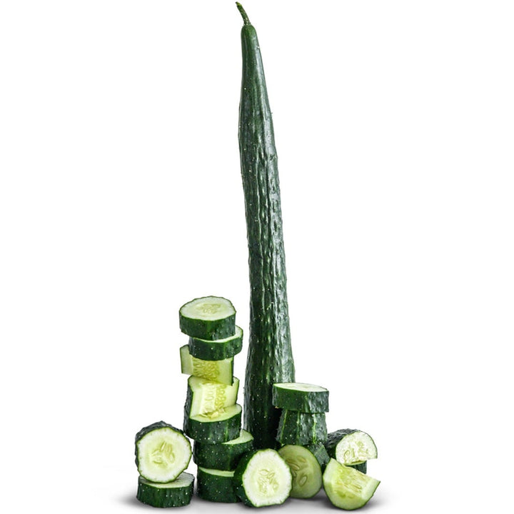 China Jade Cucumber on a white background.