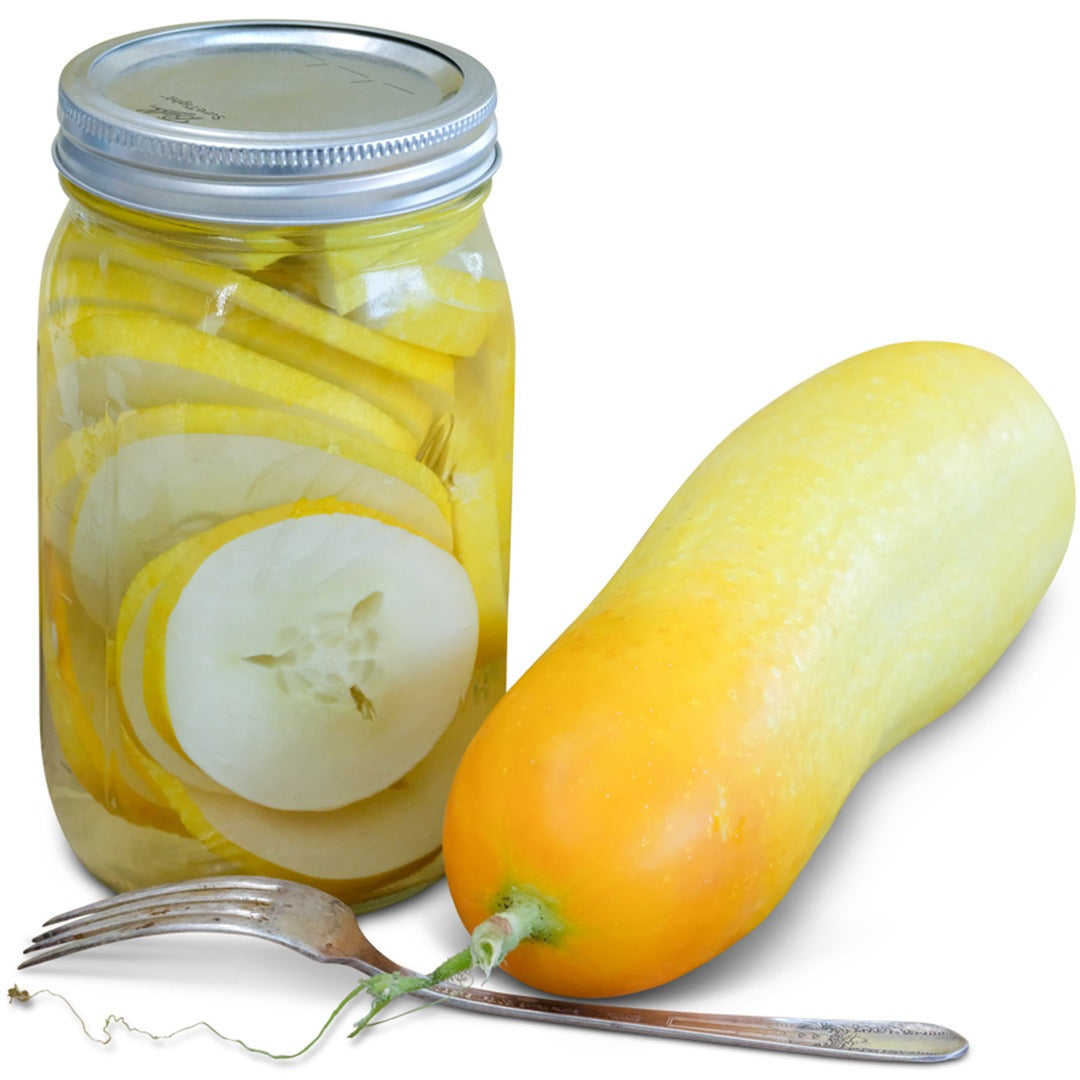 Cucumber Seeds, Dutch Yellow or Gele Tros