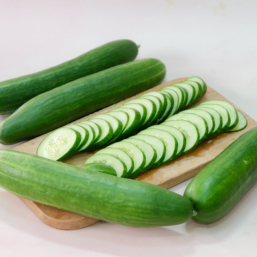 Cucumber Seeds, Jibai Shimoshirazu