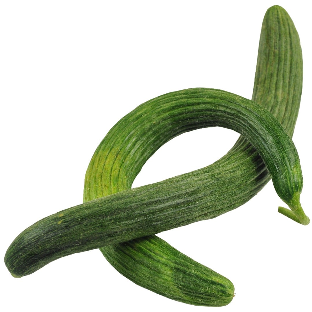 Metki Dark Green Serpent Cucumber on a white background.