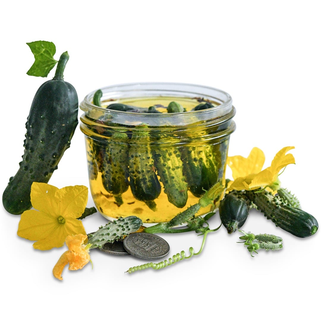 Parisian Pickling Cucumbers in a jar on a white background.