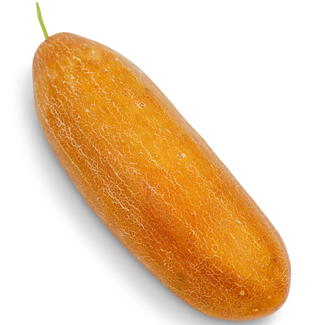Whole Poona Kheera Cucumber on a white background.