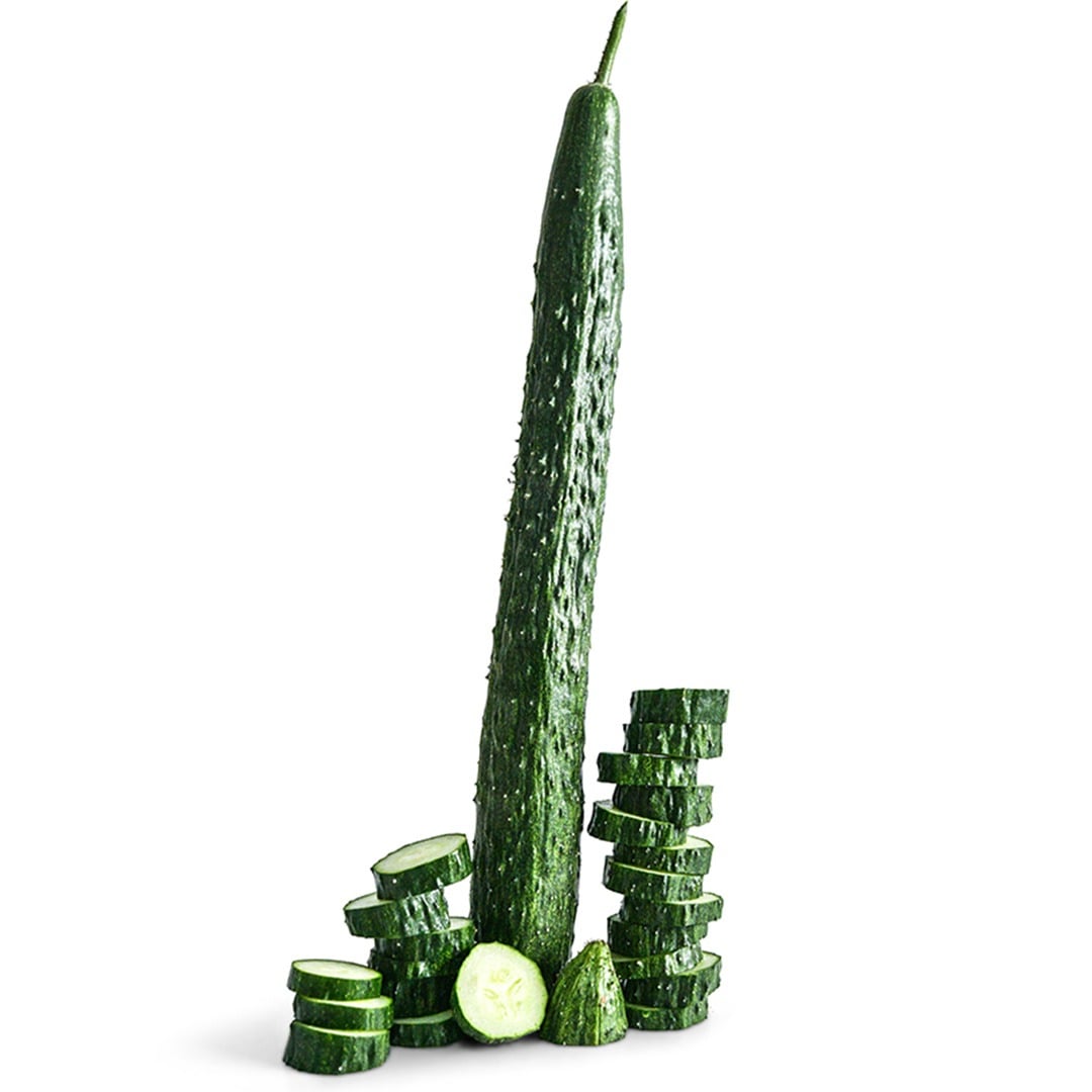 Suyo Long Cucumbers on a white background.