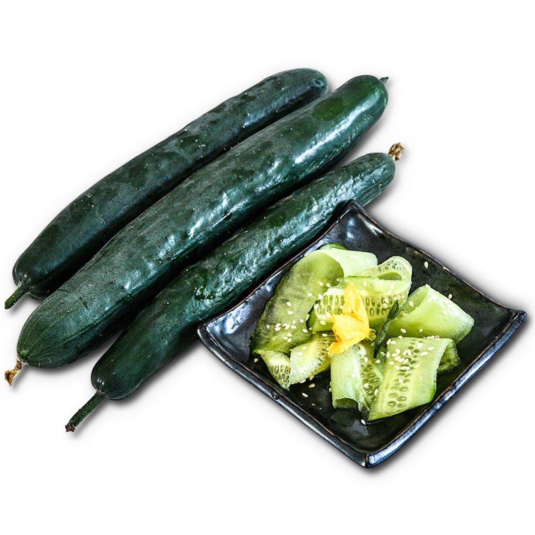 Cucumber Seeds, Tokiwa &