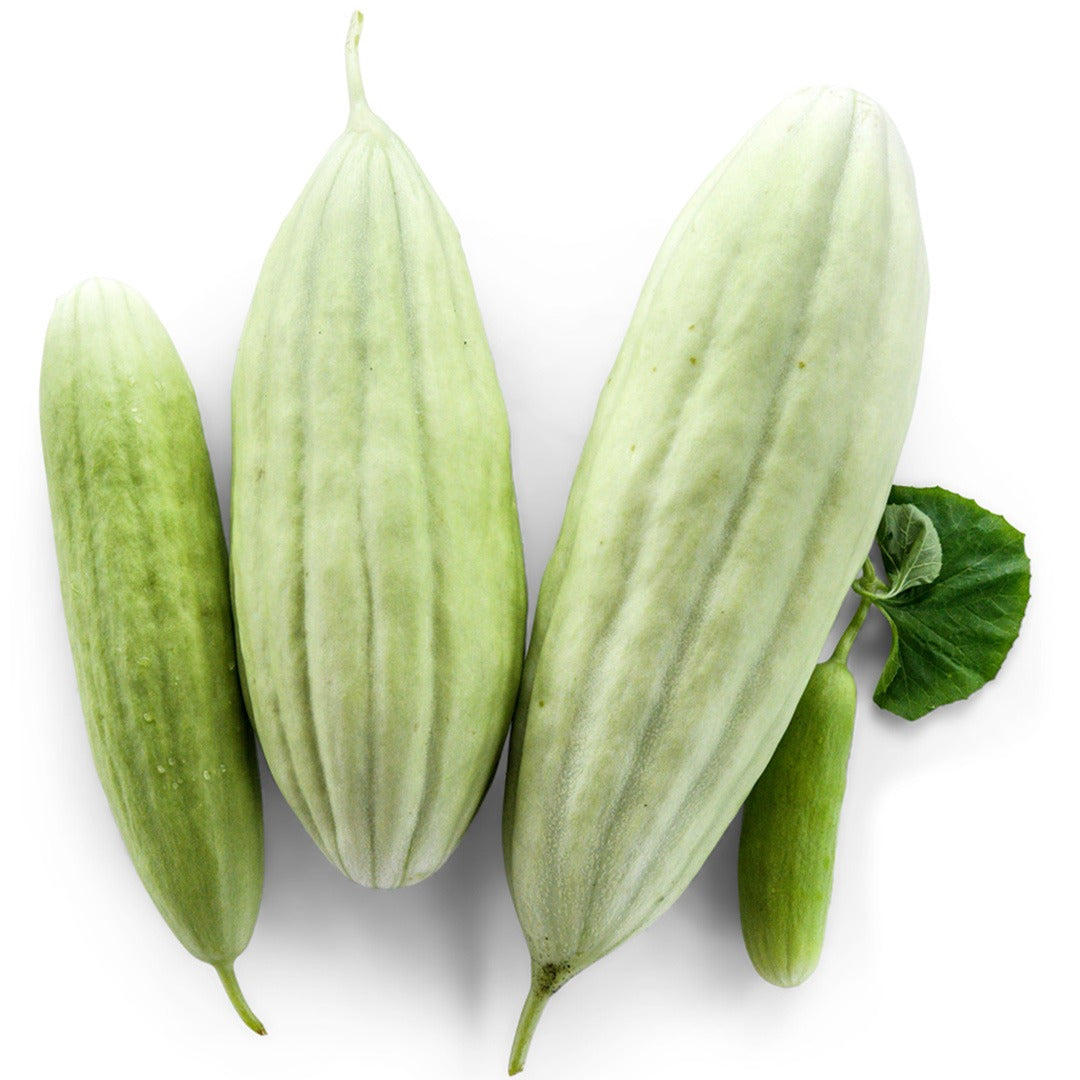 Xylangouro Cucumbers on a white background.