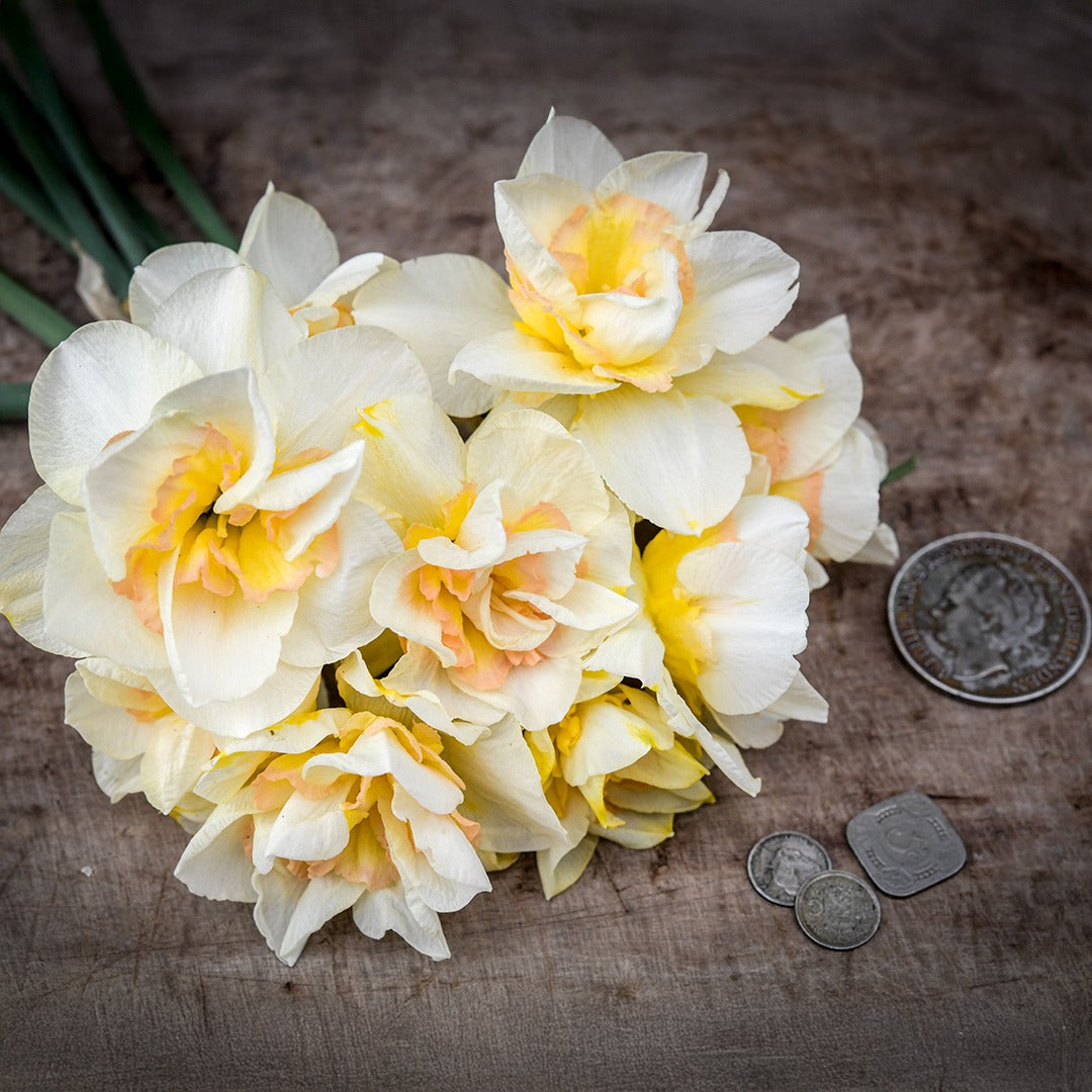 A bouquet of Sweet Ocean Daffodils with some Dutch coins on a wooden background.