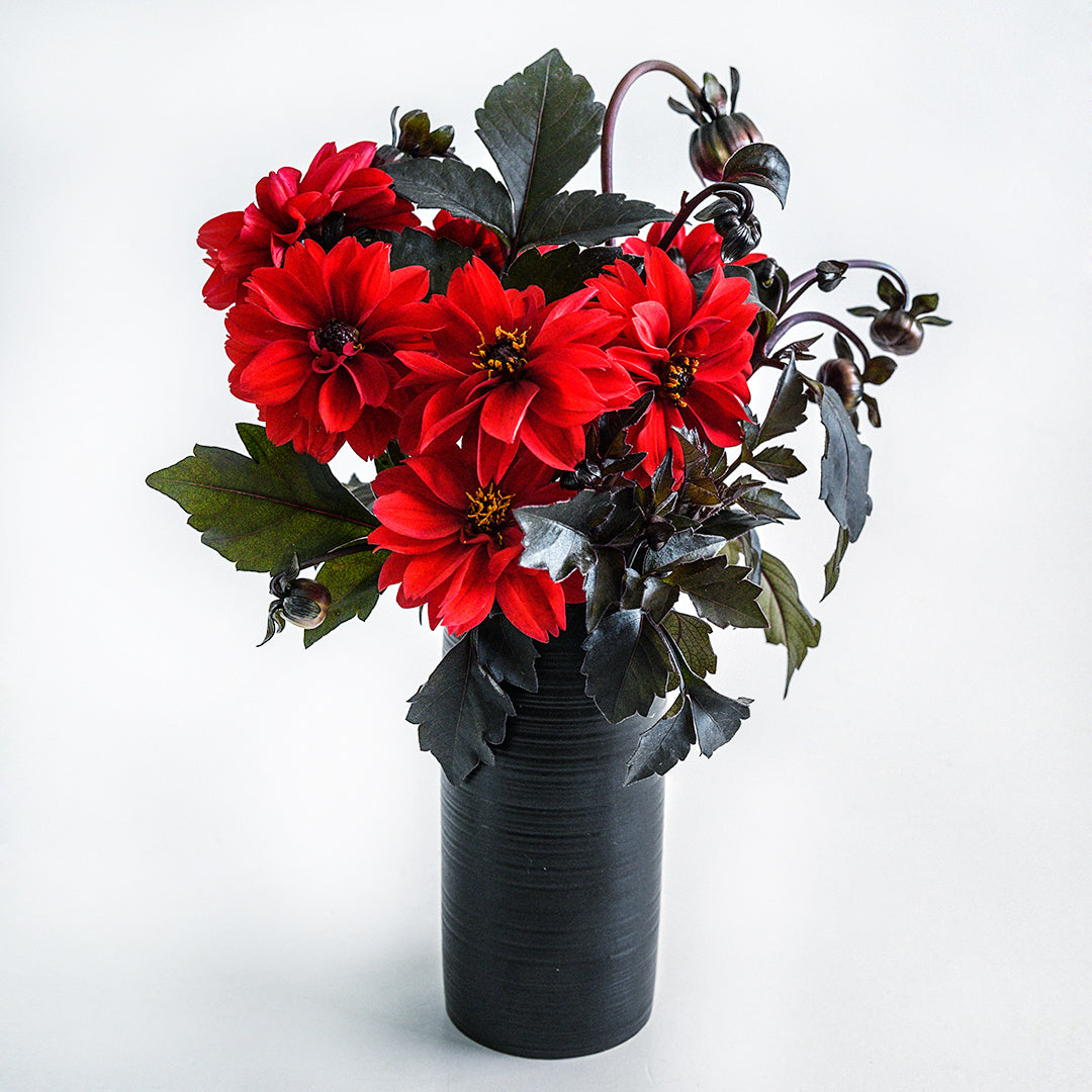 An arrangement of Black Forest Ruby flowers and foliage in a black vase on a white background.
