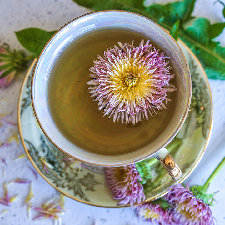 Pink Dandelion floating in tea.