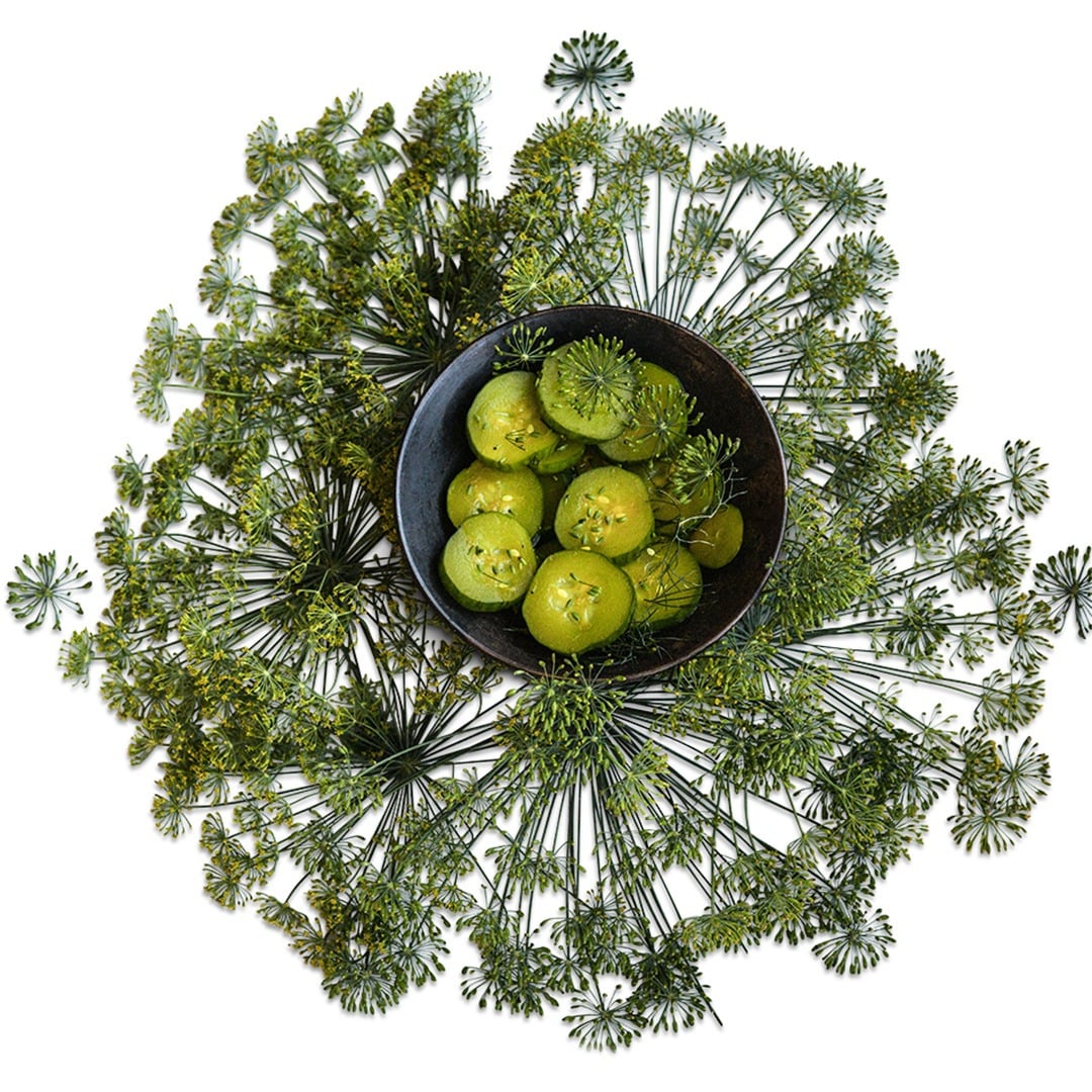 Dill Bouquet arrangement with pickled cucumbers.